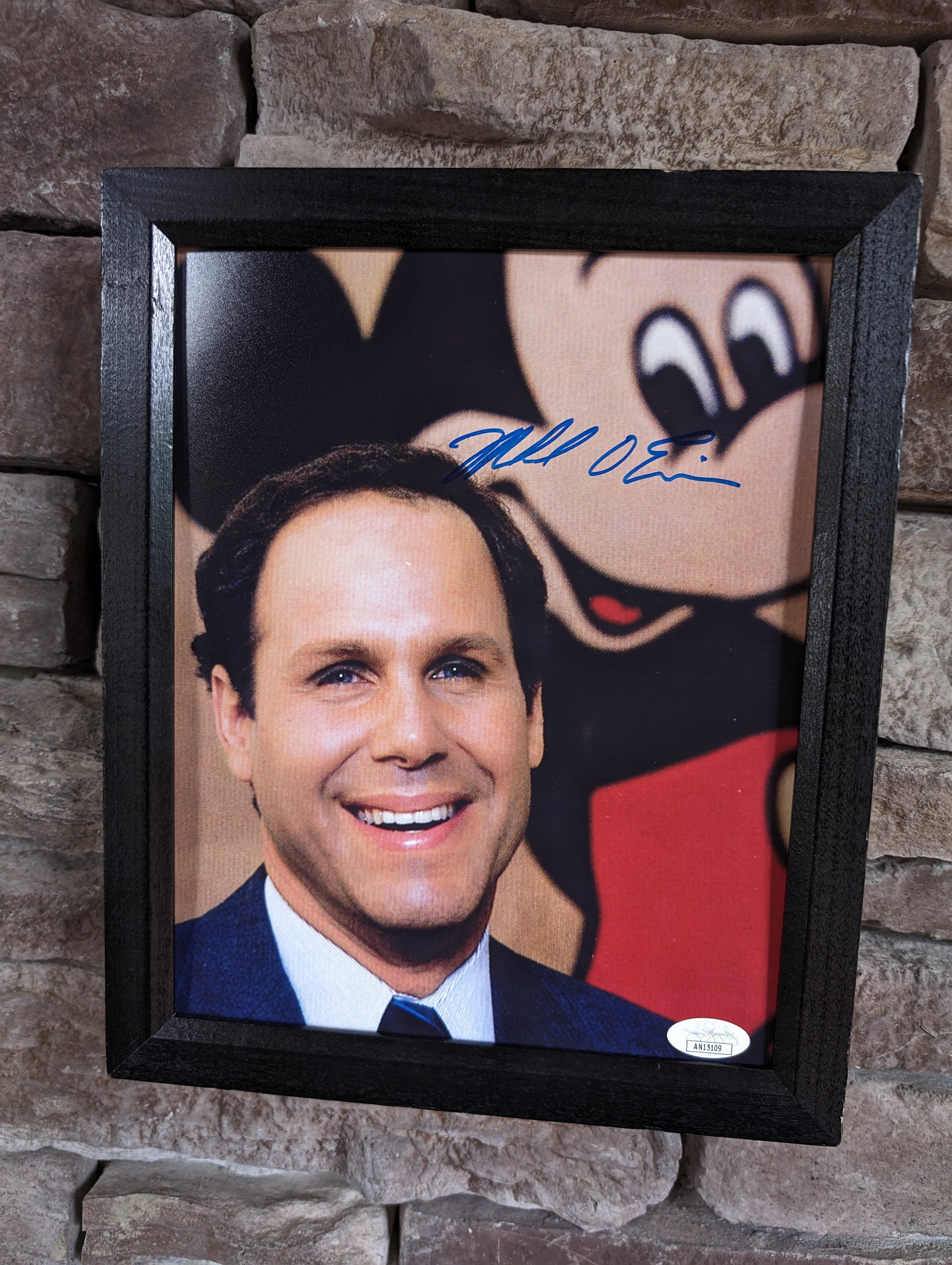 ウォルト・ディズニー・カンパニーのCEO、マイケル・アイズナーの