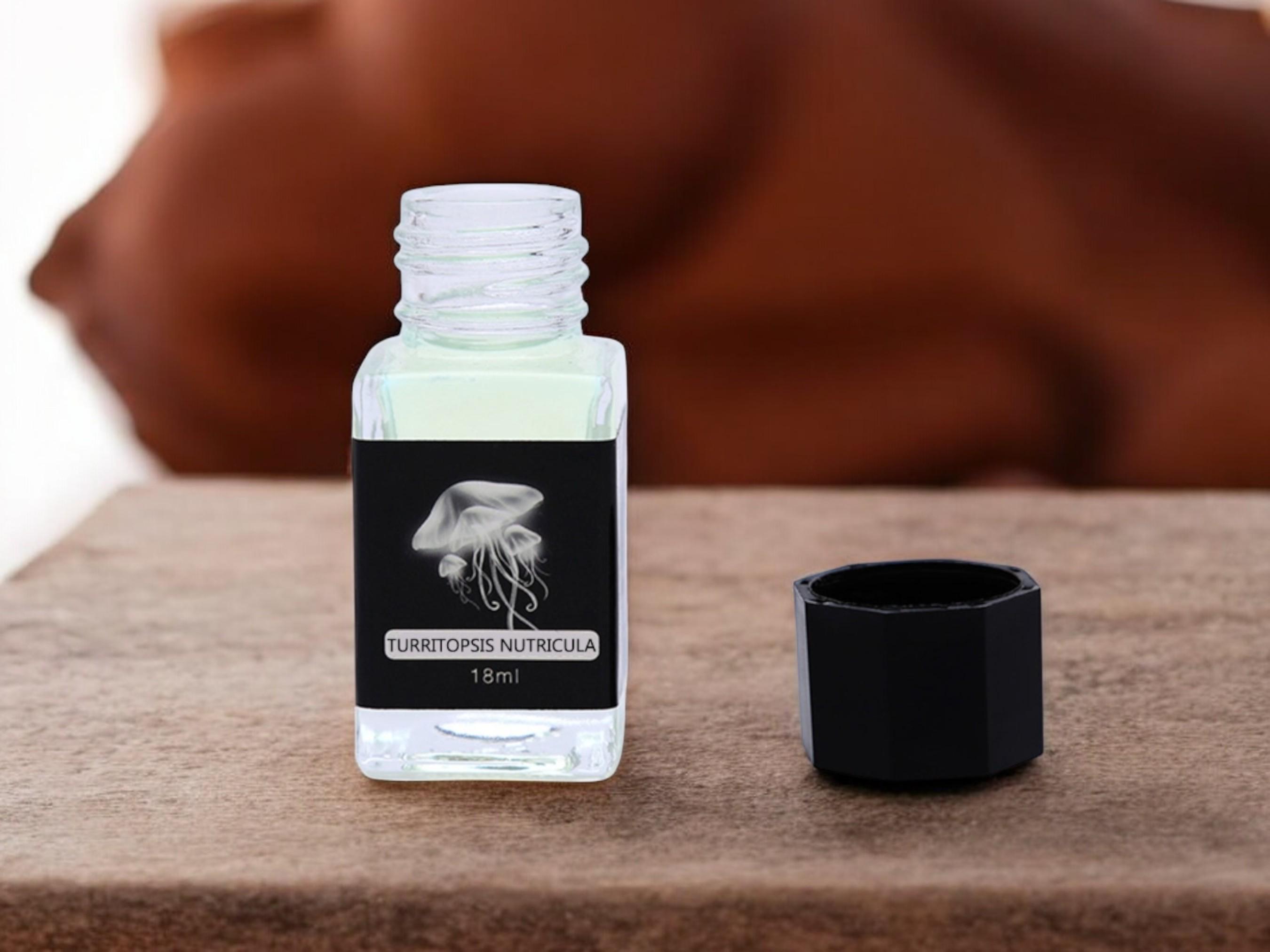 invisible ink Classic Pot M invisible ink Classic MEX