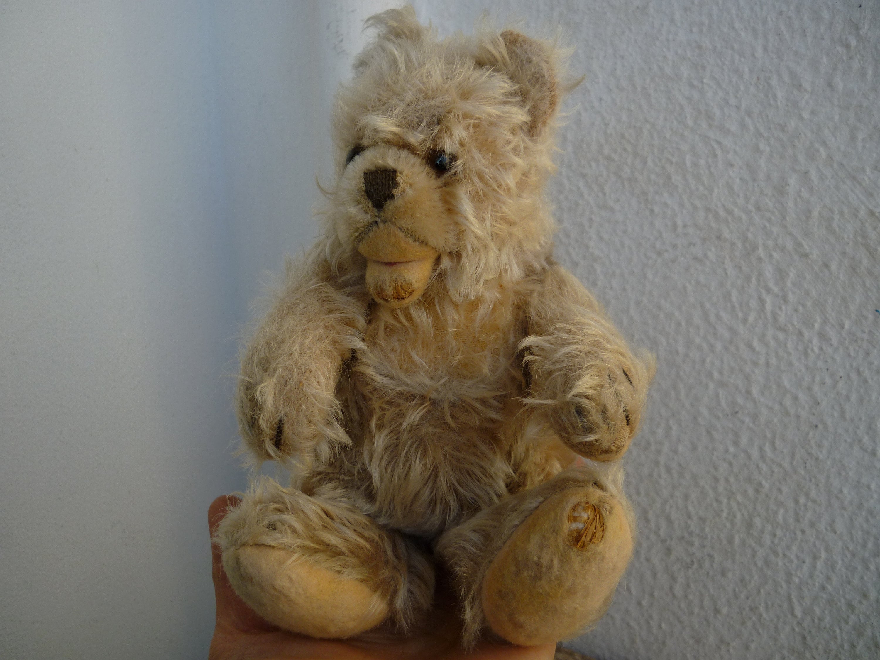 Steiff zotty bear - Etsy 日本