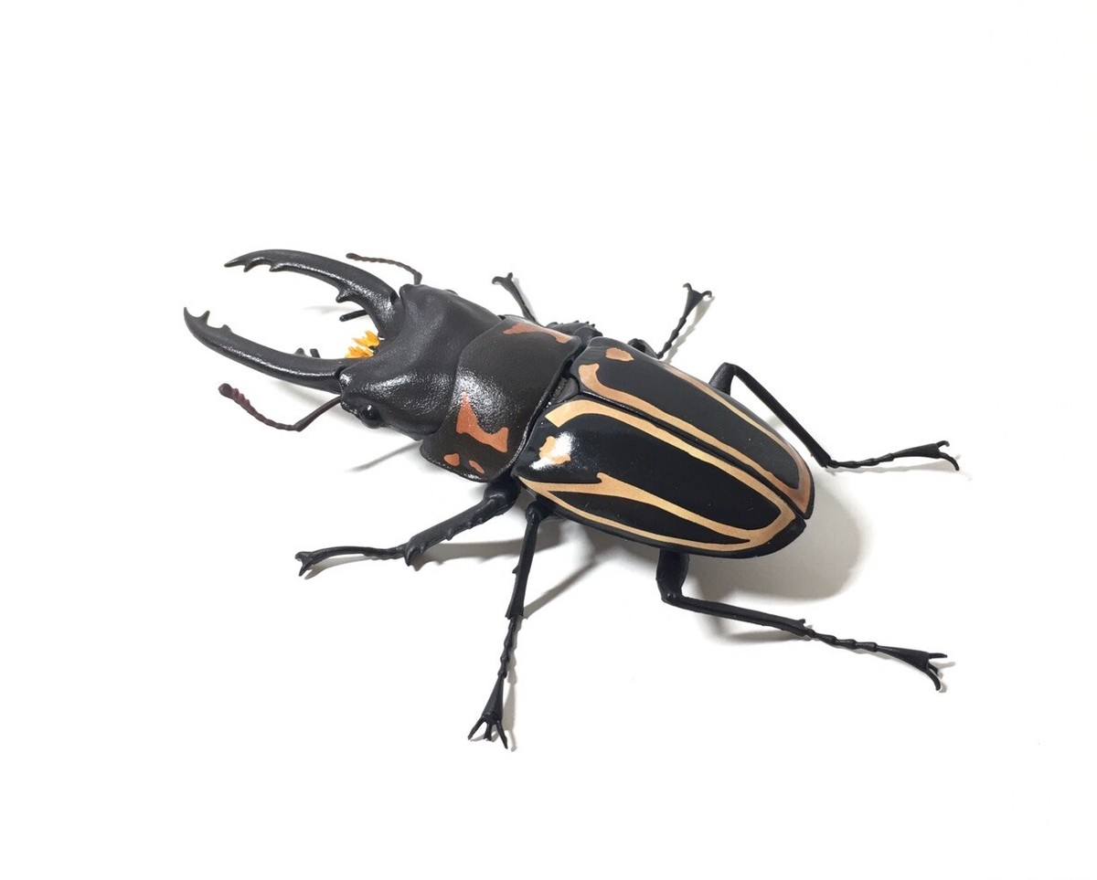 Bandai Namco Dangomushi 7 Prosopocoilus Zebra Stag Beetle Insect