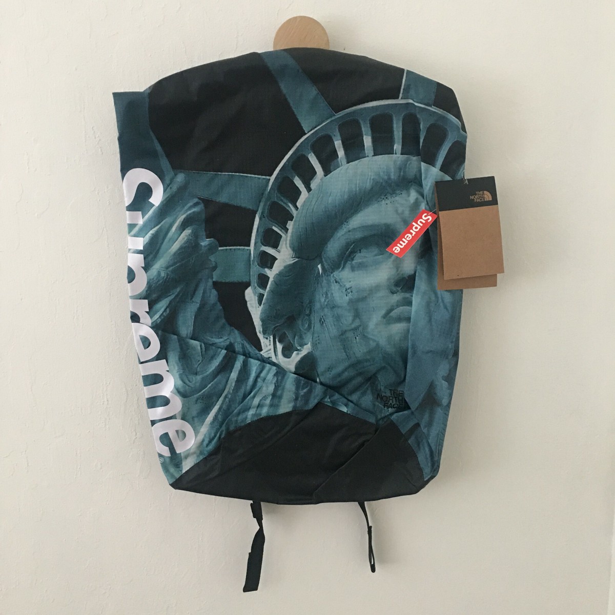 SUPREME x The North Face Statue of Liberty Waterproof Backpack Bag