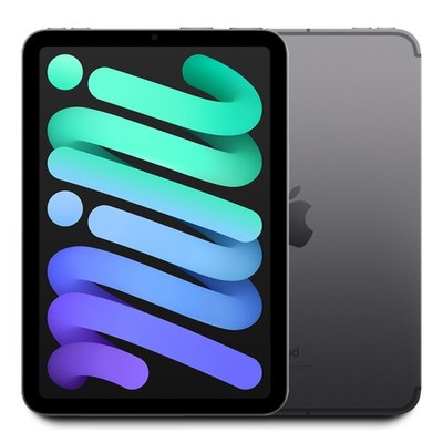 2024 Apple iPad Mini 7 256GB WiFi/Cellular (Space Gray) 4XPT3LL/A