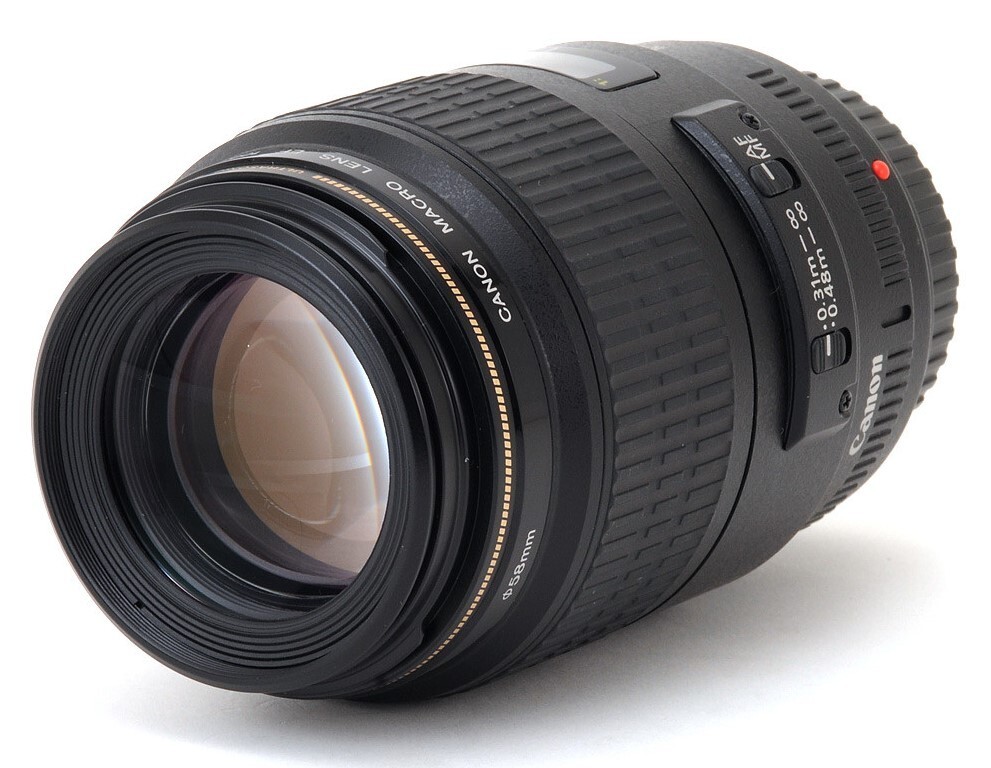 Canon EF 100mm f/2.8 Macro USM Lens for sale online | eBay