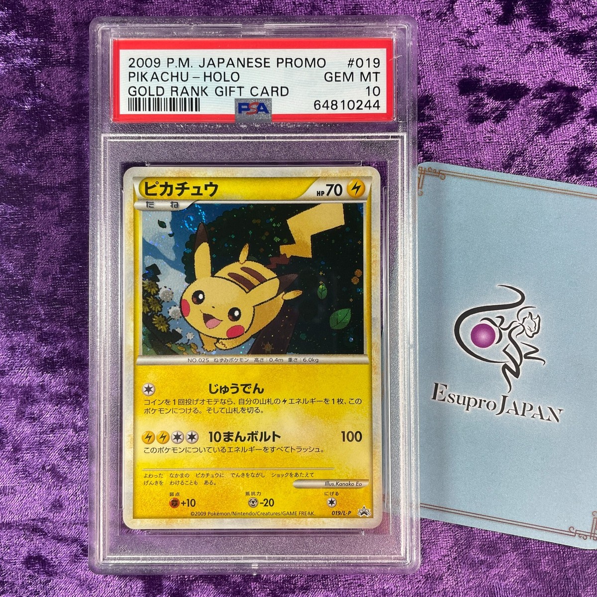 PSA 10 2009 Pikachu Holo Gold Rank Gift Card Daisuki 019/L-P