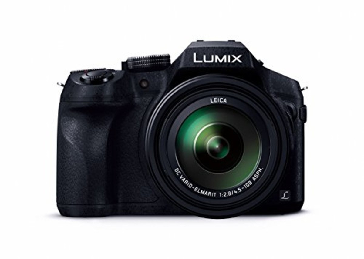 Panasonic LUMIX FZ300 12.8 MP Digital SLR Camera - Black (Kit with