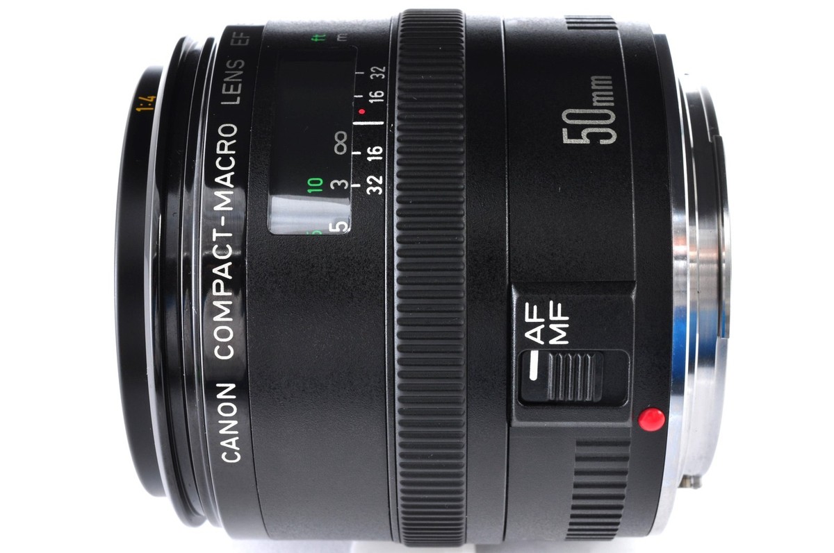 Canon EF 50mm f/2.5 Compact Macro Lens 1:2 Close-Up Sharp Tested
