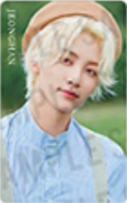 SEVENTEEN An Ode HMV JAPAN LIMITED OFFICIAL PHOTO CARD jeonghan