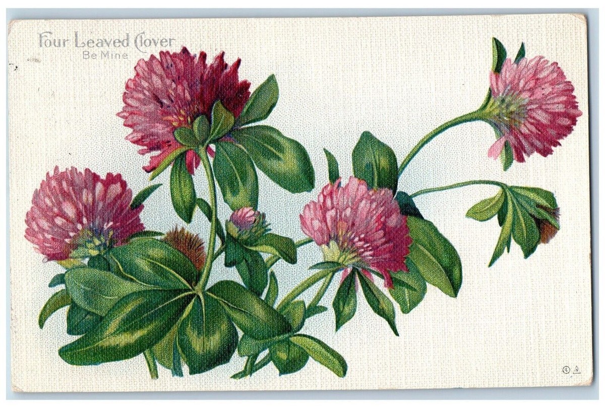 Eq Jiminy craft language ill his clover Eq Jiminy craft language