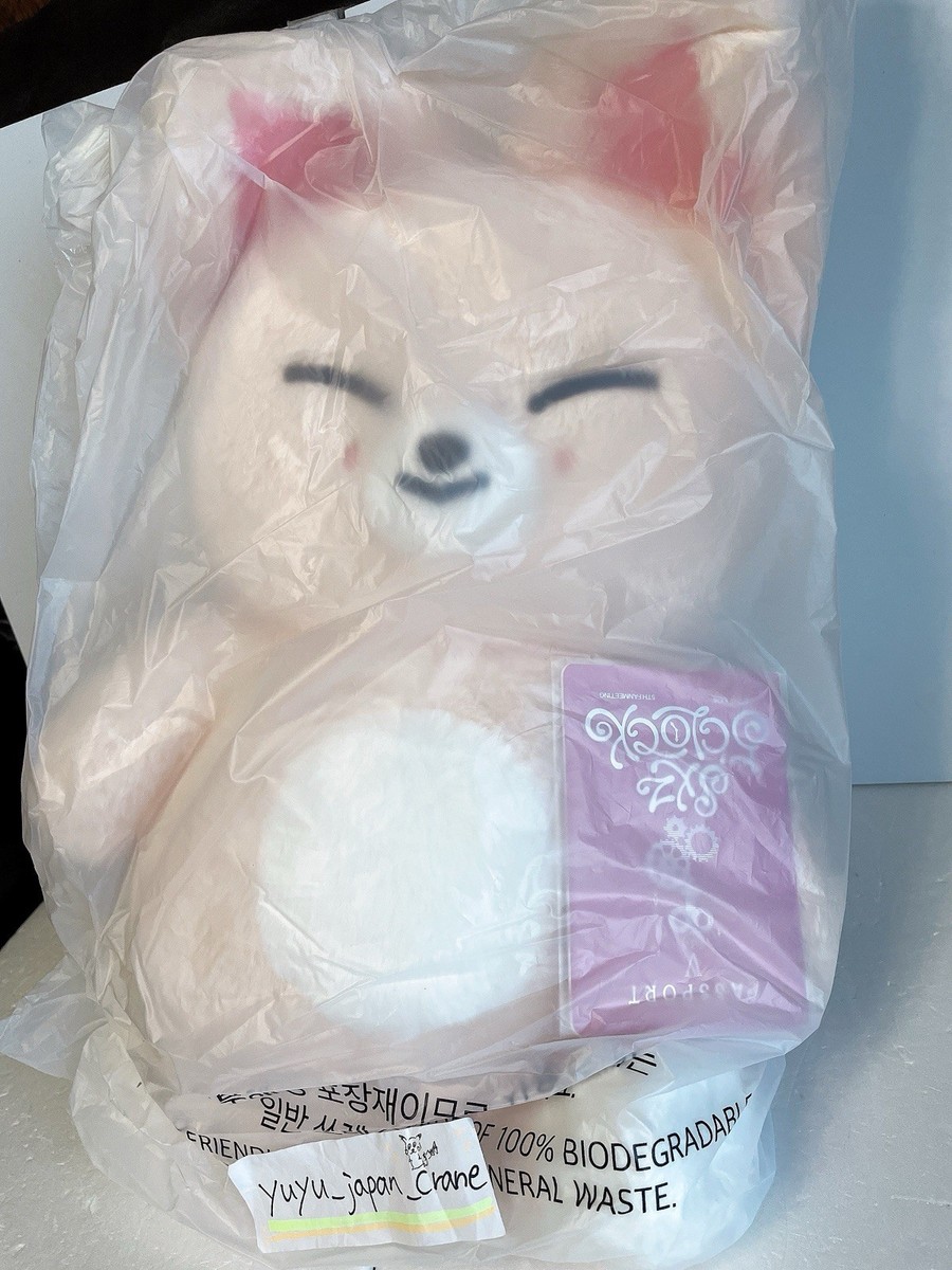 Stray Kids SKZOO Foxl.Ny Plush Teddybear Ver. K-pop Official New 5