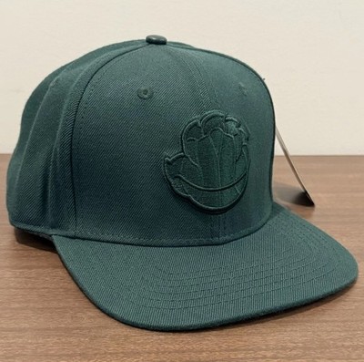 Pro Standard Memphis Grizzlies Forest Green Tonal Snapback