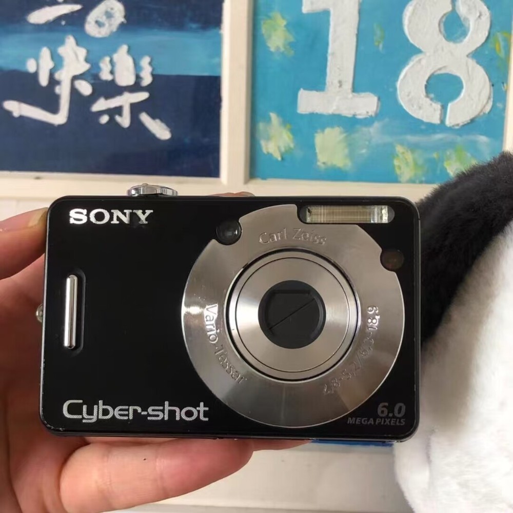 Sony Cyber-shot DSC-W50 6.0MP 3x Optical Zoom Digital Camera