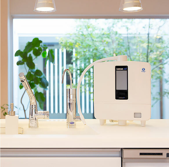 Enagic Leveluk K8 Kangen Water Ionizer Machine 8 Plates Filtration