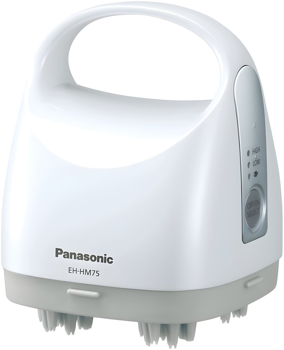 Panasonic scalp esthetic (sebum washing type) Silver-like EH-HM75