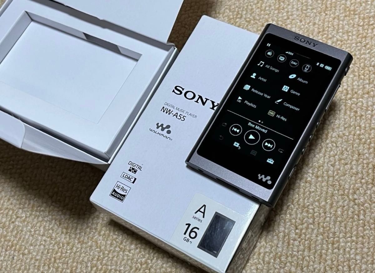 Demon Slayer Tanjiro Kamado Model Sony NW-A55 Walkman Black MP3