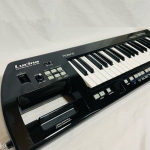 Roland Ax 09 Lucina | eBay