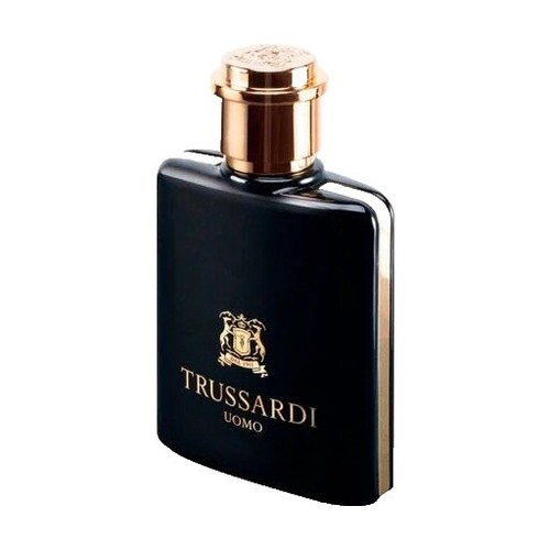 TRUSSARDI ACTION SPORT EAU DE SPORT NATURAL SPRAY 100 ML/3.3 FL.OZ