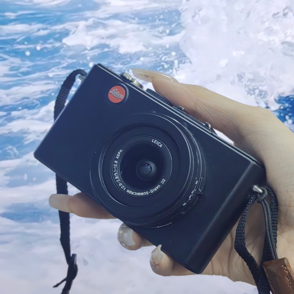 Leica D-LUX 4 10.1MP Digital Camera - Black for sale online | eBay