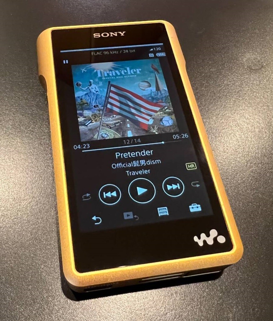 SONY WALKMAN 256GB Hi-Res WM1 Series NW-WM1ZM2 Audio Player