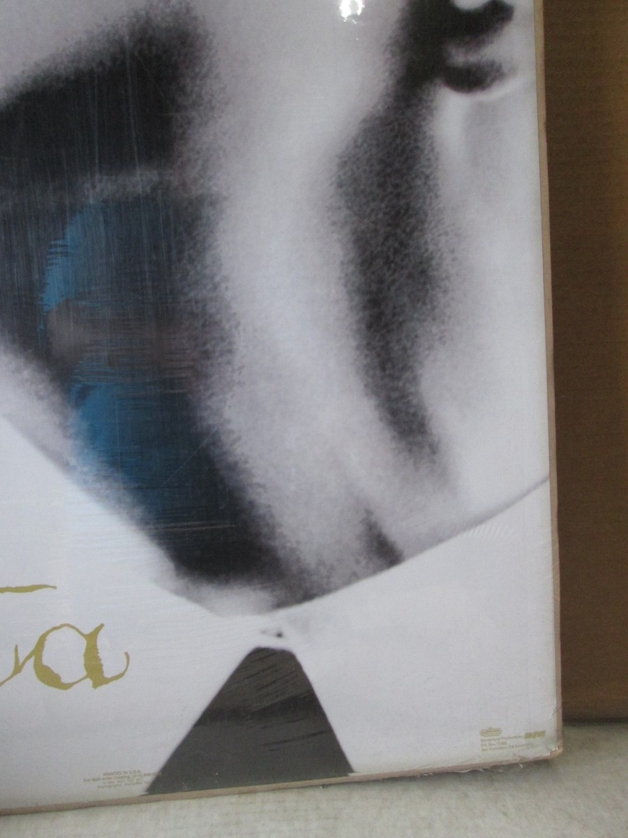 vintage Dita Madonna Boy toy 1992 singer poster music 22581 | eBay