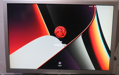Apple Cinema A1083 30 inch LCD Monitor for sale online | eBay