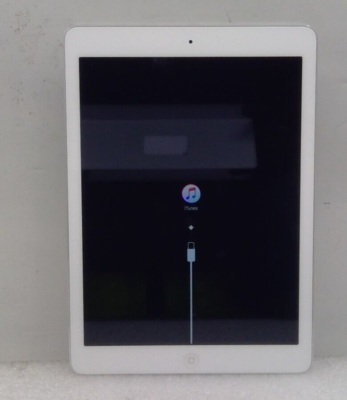 Apple iPad Air 1st Gen 9.7