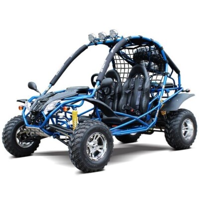 200cc/6.5hp Adult Gas Go-Kart Deluxe DF GKA With Auto Tranny
