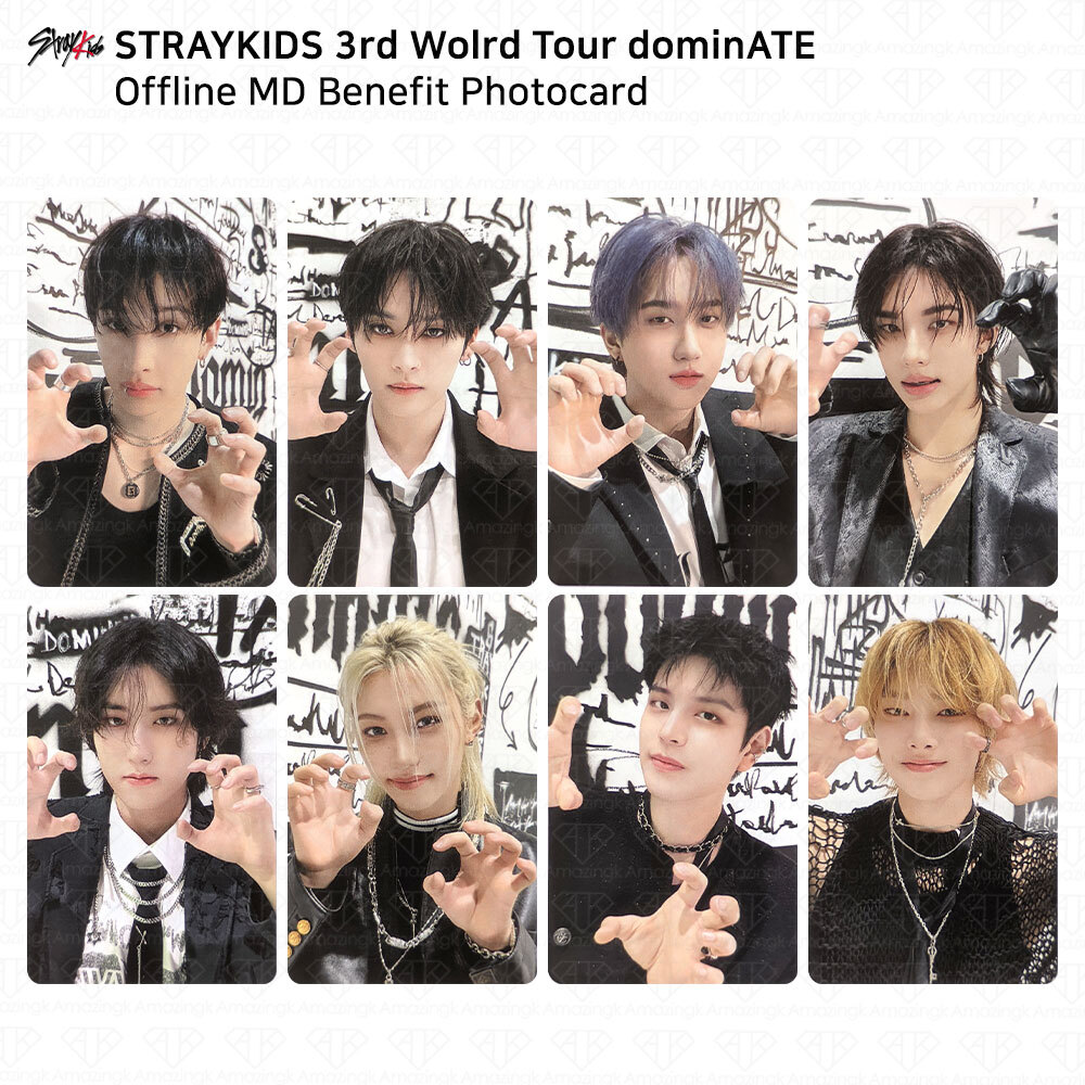Stray Kids 3rd World Tour dominATE Offline MD Benefit Photocard