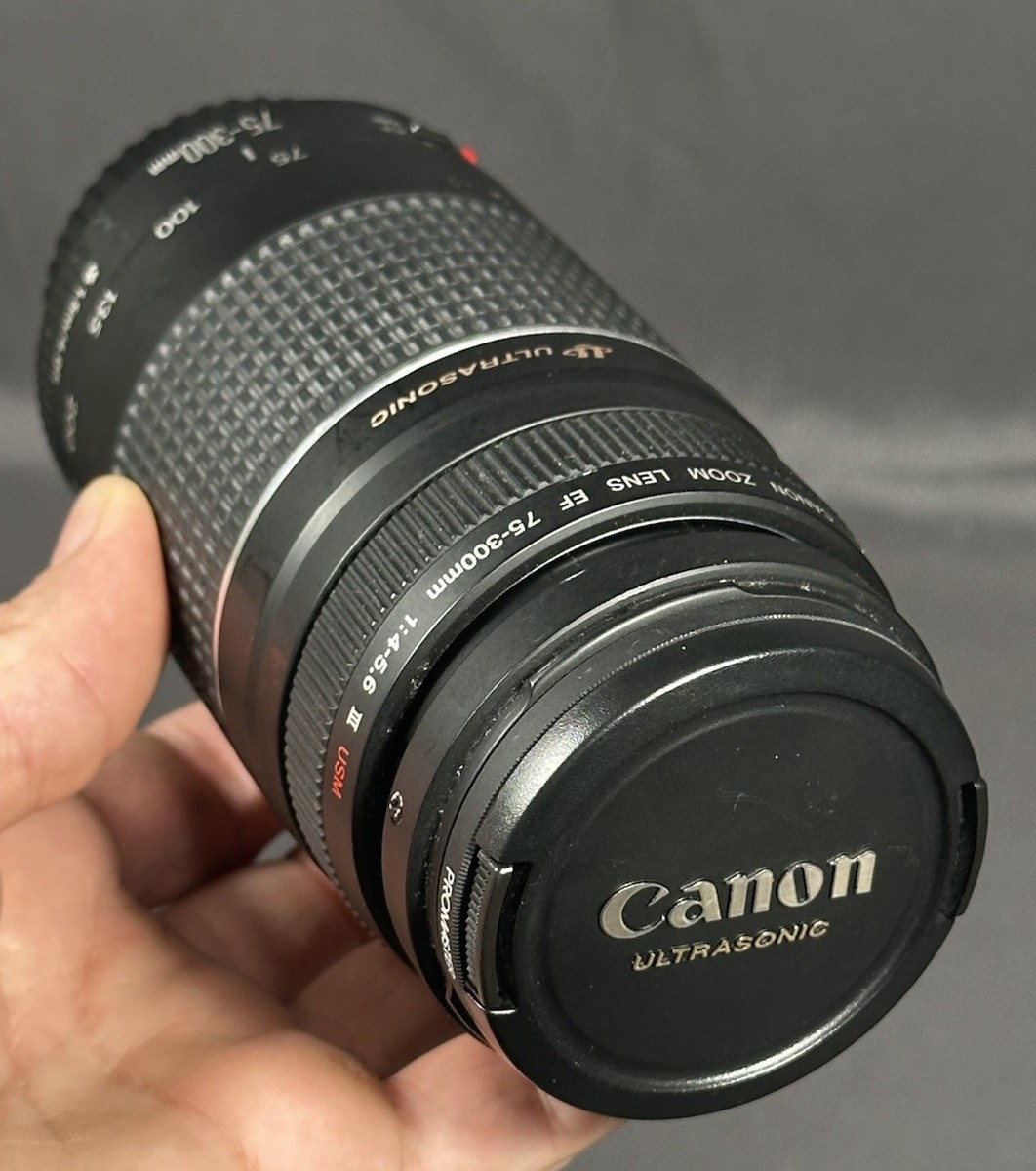 Canon Ultrasonic Zoom Lens EF 75-300mm 1:4-5.6 III USM | eBay