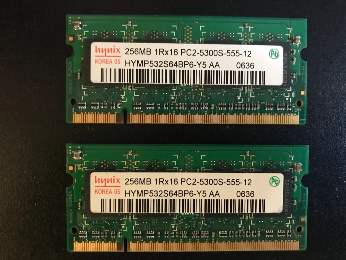 Hynix PC2-5300 DDR2-667 Computer Memory (RAM) 512 MB Capacity per
