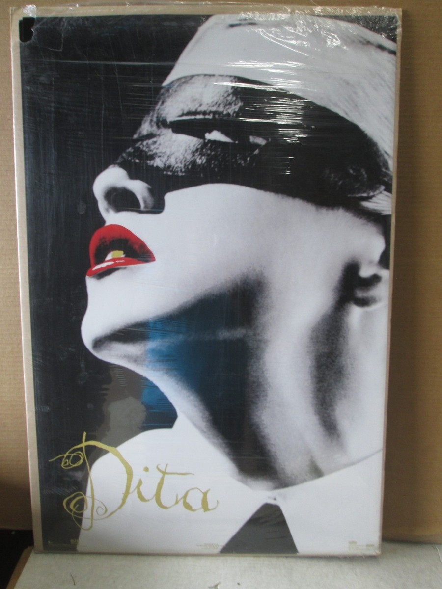 vintage Dita Madonna Boy toy 1992 singer poster music 22581 | eBay
