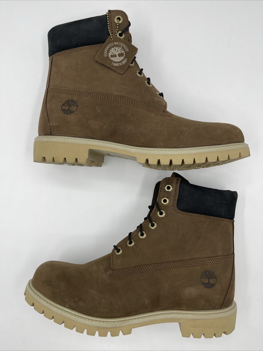 Timberland 6 Inch Premium Waterproof TB0A62KN968 Cocoa Brown Men's
