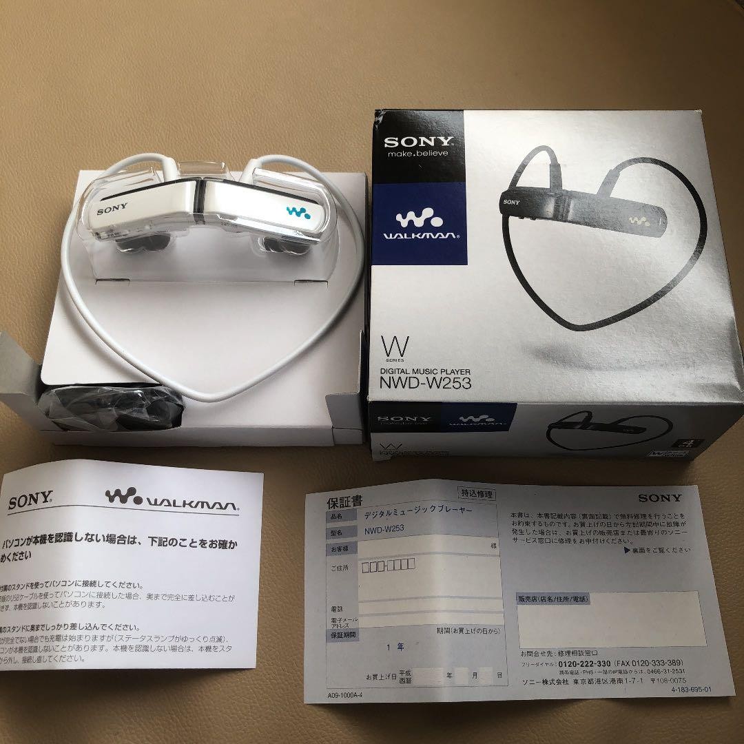 Sony Walkman W Series Nwd-W253 | eBay