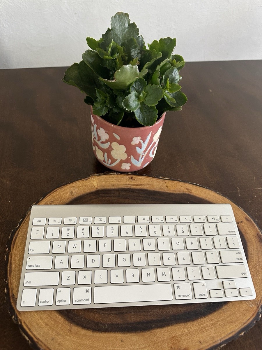 Apple Bluetooth Magic A1314 Model Wireless Keyboard Good | eBay