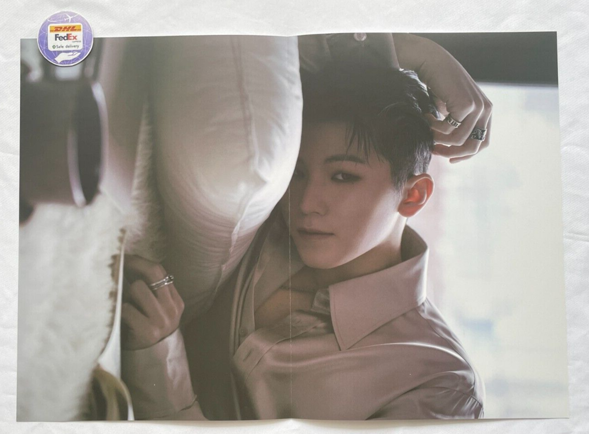 SEVENTEEN WOOZI The Thirteen Tapes TTT vol. 2/13 Photobook Poster