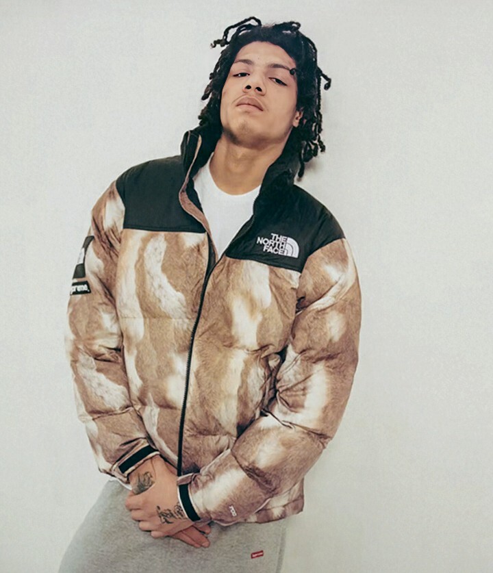 The North Face x Supreme Nuptse Fur Print Jacket | eBay