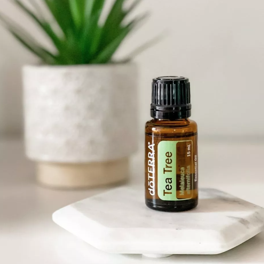 30%OFF doTERRA Tea Tree Melaleuca 15ml Therapeutic Essential Oil