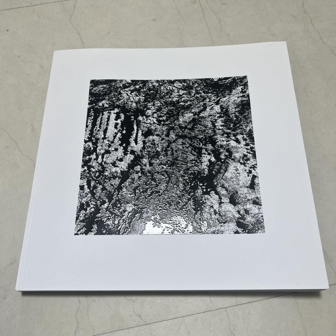 Light by Michel Comte, Special Edition Photography Book | eBay