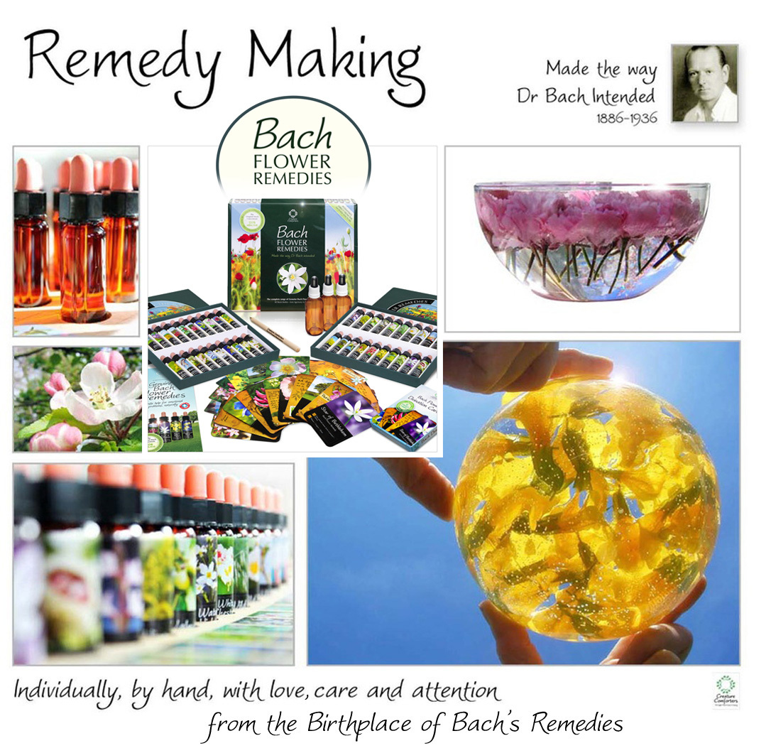 Bach Flower Essence Complete Kit Wooden Case. Practitioner Gift