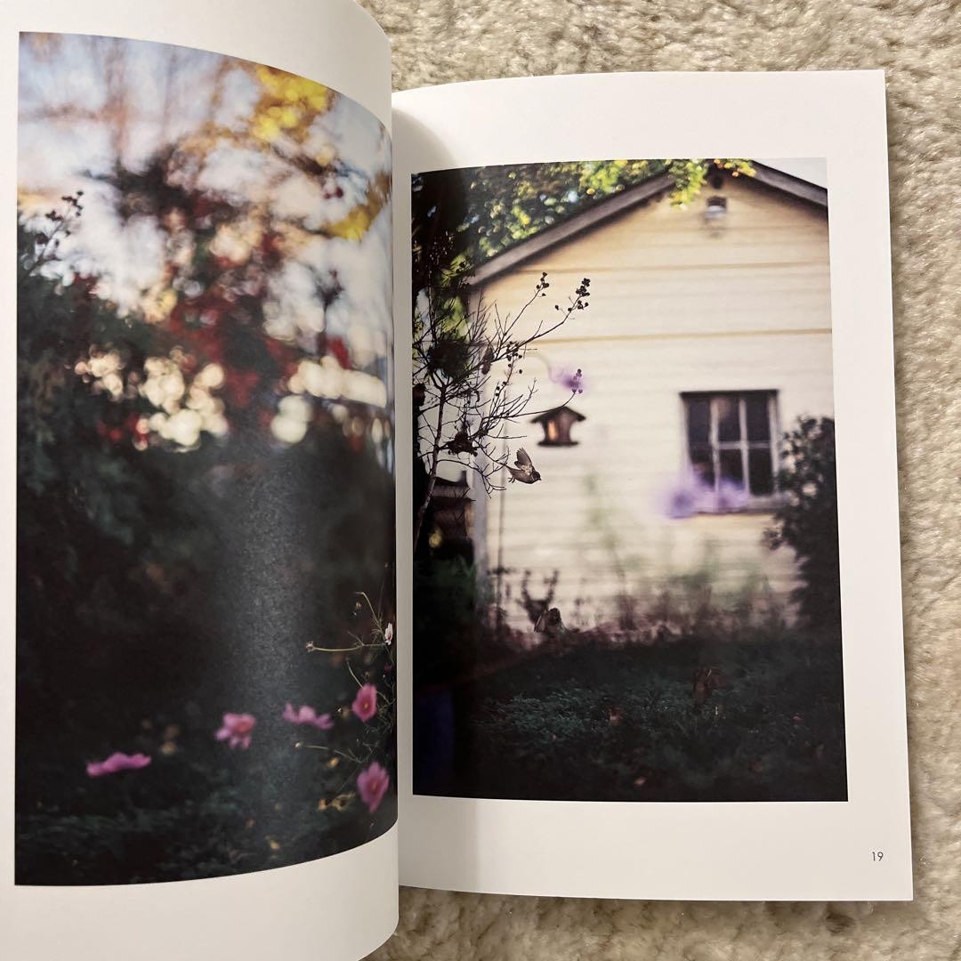 As the Crow Flies by Terri Weifenbach Limited to 400 | eBay