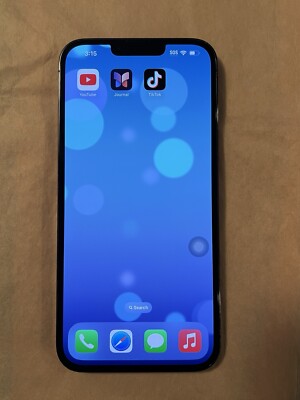 iPhone 13 Pro Max Graphite 512 GB Unlocked with TikTok installed