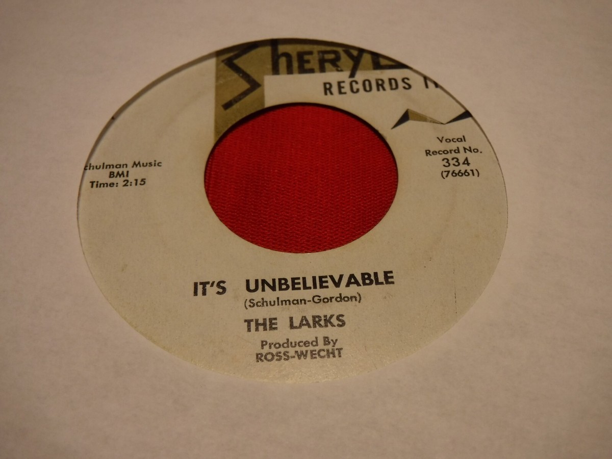 The Larks Sheryl 334 It's Unbelievable I Can't Believe It 1961 7