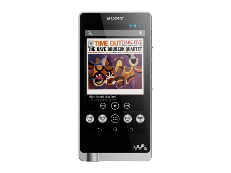 Sony NW-ZX1 128GB Walkman for sale online | eBay