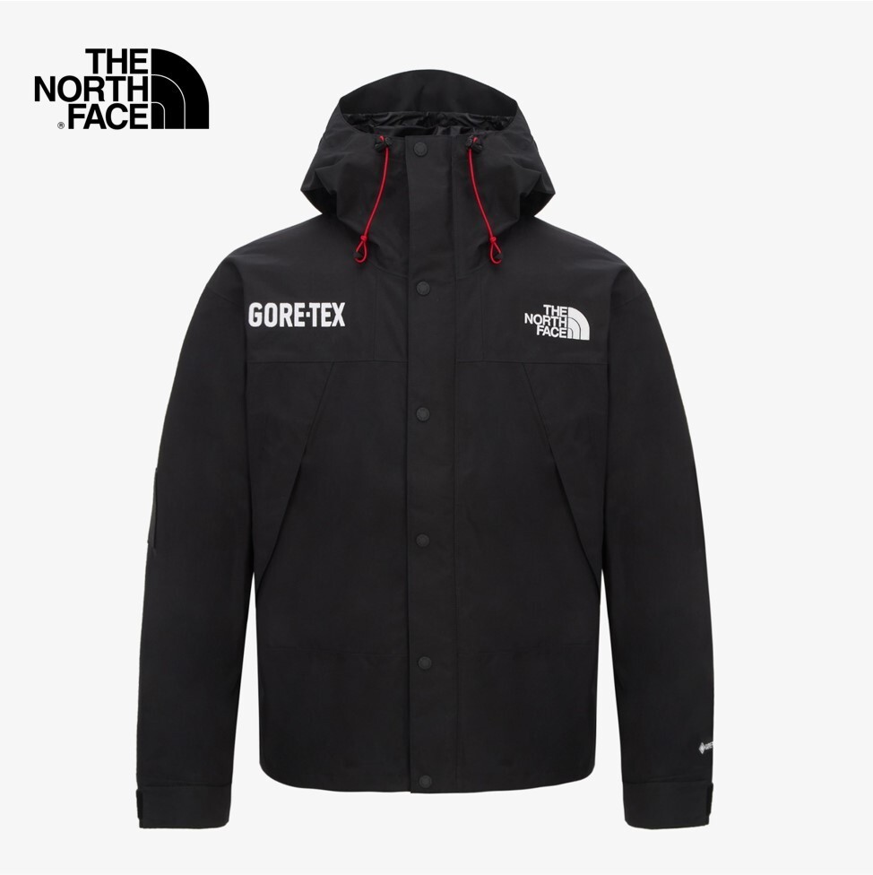 The North Face Korea M'S 40TH ANNIVERSARY GTX MOUNTAIN JACKET