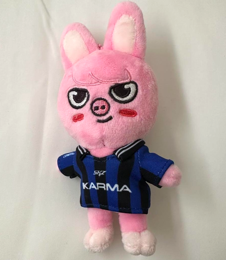 Stray Kids Skzoo KARMA Plush Doll Keyring DWAEKKI Changbin