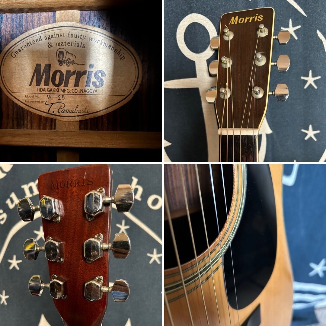Acoustic Guitar Morris W-25 Spruce Top Natural Made in Japan | eBay