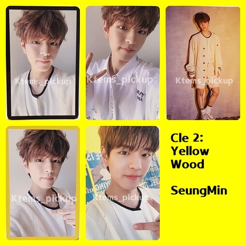 Stray Kids photocard album Yellow Wood Official Photo card