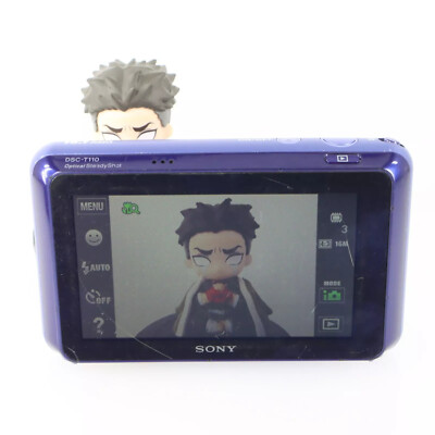 SONY DSC-T110 16.1MP Cyber Shot 4x Optical Zoom Digital Camera | eBay