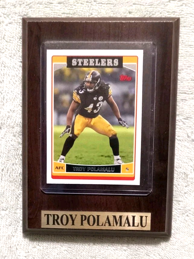 Troy Polamalu 4