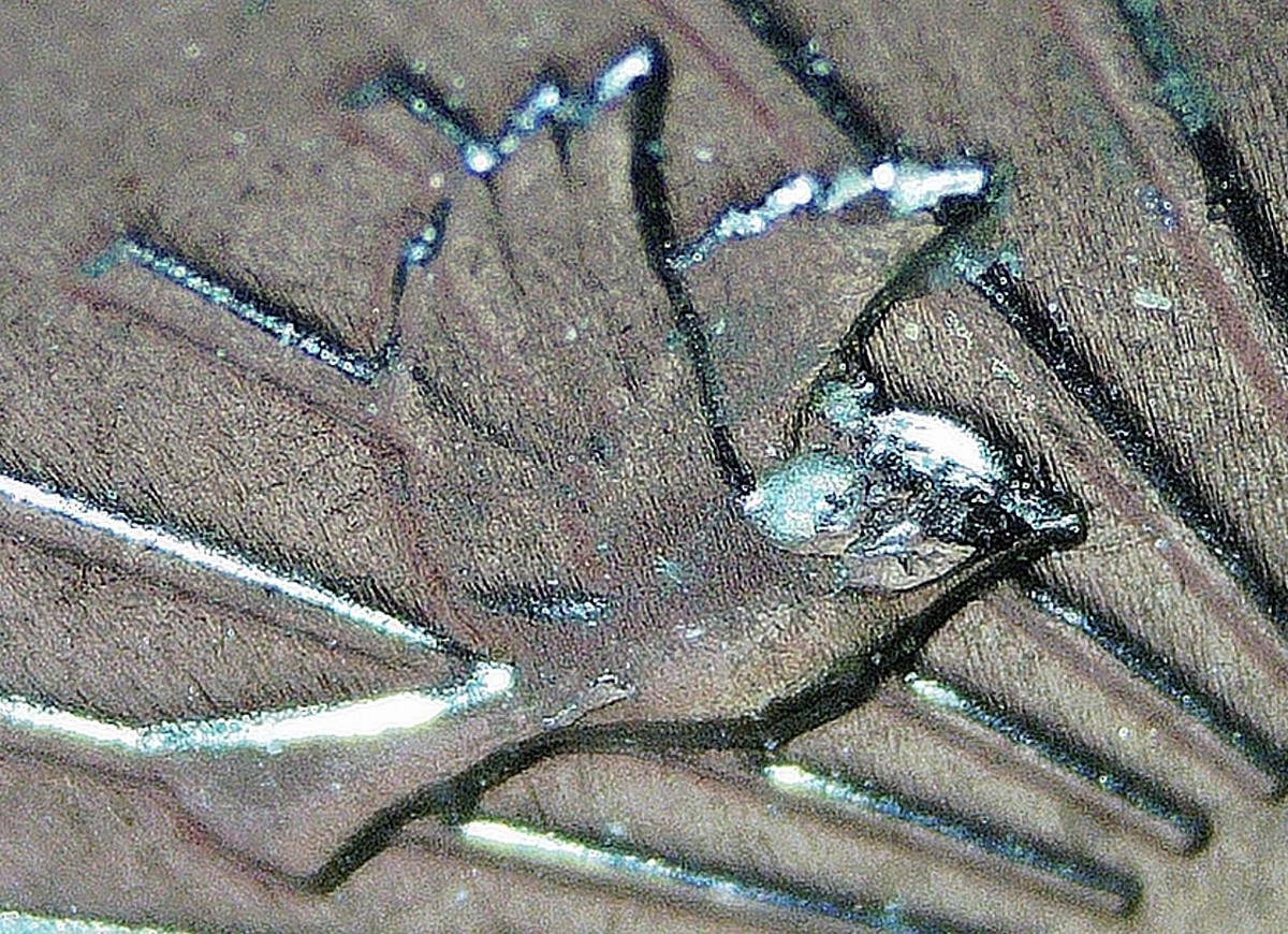 2024 P Zitkala Sa quarter error, 