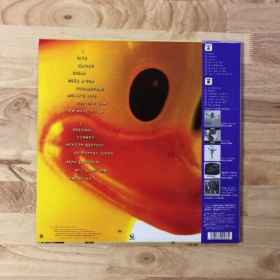 NIRVANA / Incesticide 12